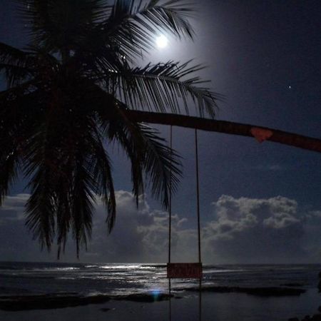 Hotel Casa Vito Beachfront Puerto Viejo de Talamanca Eksteriør bilde