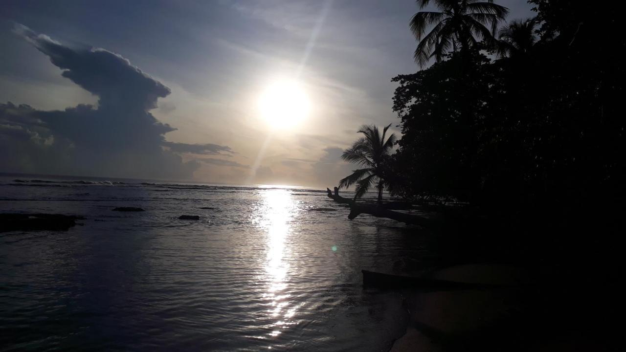 Hotel Casa Vito Beachfront Puerto Viejo de Talamanca Eksteriør bilde