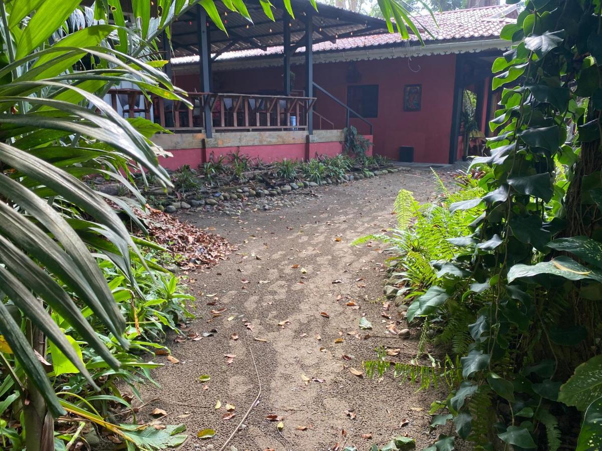 Hotel Casa Vito Beachfront Puerto Viejo de Talamanca Eksteriør bilde