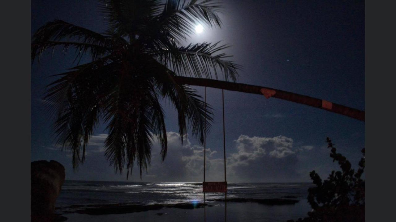 Hotel Casa Vito Beachfront Puerto Viejo de Talamanca Eksteriør bilde
